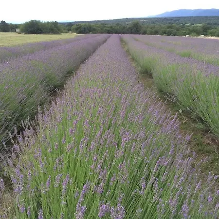 Lavander-kriz-sezana Apartman *