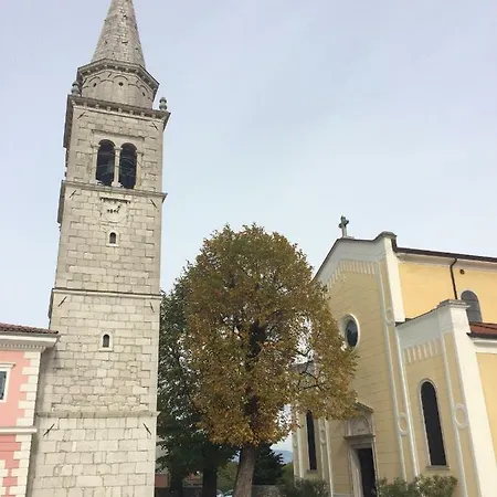 Lavander-kriz-sezana * Sežana